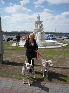 Kennel Volshebny Mir, Viva Donskaya Krasavitsa, Bellissima Bogema