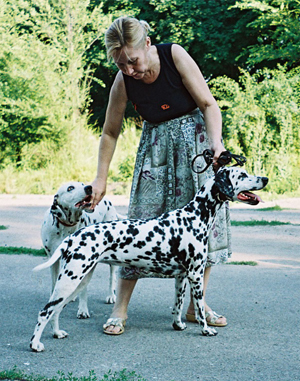 Kennel Volshebny Mir, Larisa Kurganovich & Amaliya Volshebny Mir