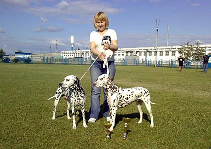 Kennel Volshebny Mir, Larisa Kurganovich, Amaliya, Bellisima Bogema