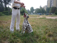 Kennel Volshebny Mir, Viva Donskaya Krasavitsa