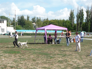 Dalmatian Kennel Volshebny Mir