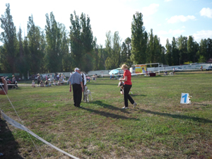 Dalmatian Kennel Volshebny Mir