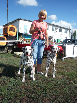 Dalmatian Kennel Volshebny Mir