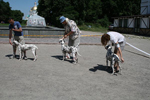 Kennel Volshebny Mir, Bellissima Bogema Volshebny Mir, Alexandr Kurganovich