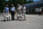 Kennel Volshebny Mir, Bellissima Bogema Volshebny Mir, Alexandr Kurganovich