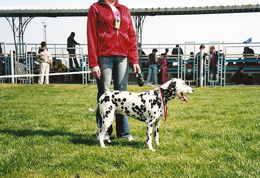 Kennel Volshebny Mir, Ariana Volshebny Mir