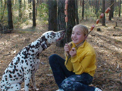 Kennel Volshebny Mir, Baltika Chokolate Volshebny Mir