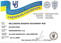  Volshebny Mir ( ), Bellissima Bogema