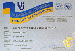  Volshebny Mir ( ), Baffi Besti Dolly