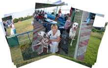 Kennel Volshebny Mir, Viva Donskaya Krasavitsa, Larisa Kurganovich