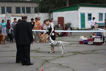   , Kennel Volshebny Mir