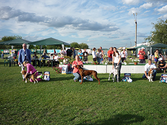   , Kennel Volshebny Mir