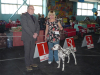 Kennel Volshebny Mir, Viva Donskaya Krasavitsa