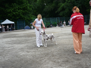 Kennel Volshebny Mir, Larisa Kurganovich